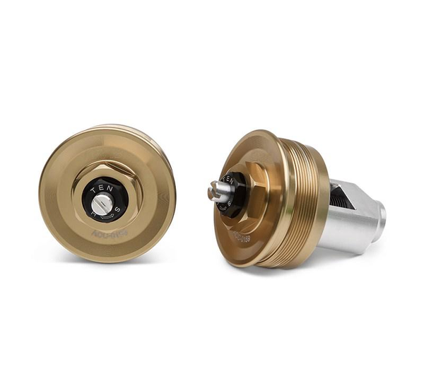 KIT-ACCESSORY,FORK CAP(GOLD)