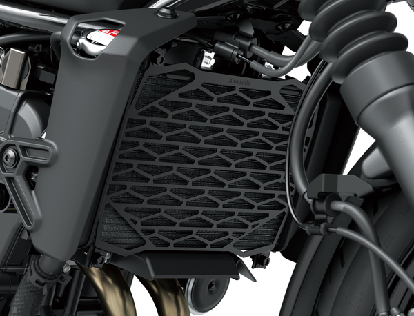 RADIATOR SCREEN