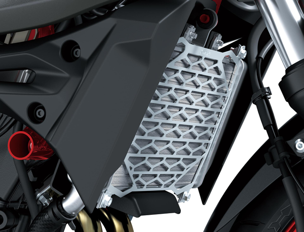 KIT-ACCESSORY,RADIATOR SCREEN